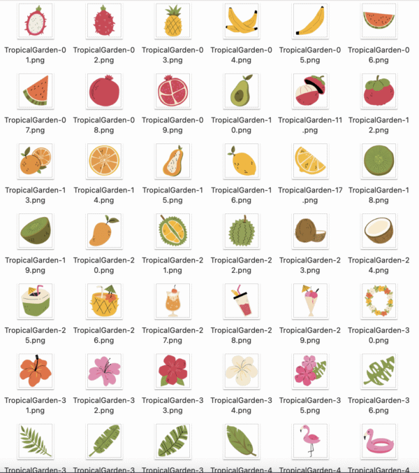 Pacote Frutas Tropicais — 50 Ilustrações Vibrantes - Image 2